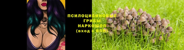 jwh Богородицк