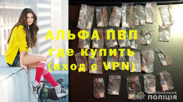 крисы Белокуриха