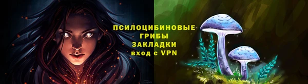 spice Новозыбков